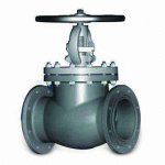 Duplex globe-valve-1.jpg