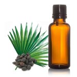 saw palmetto oil image 1.jpg