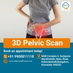 3d Pelvic Scan.jpg