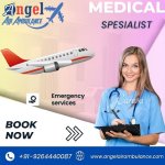 Angel Air Ambulance Provides Quick Air Medical Transportation in Emergency.jpg