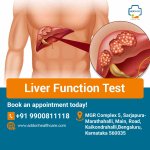 Liver Function Test.jpg