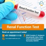 Renal Function Test.jpg