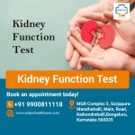 Kidney Function Test.jpg