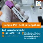 Dengue PCR Test in Bengaluru.jpg