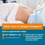 Pelvic Scan in Sarjapur Bangalore.jpg