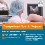 Transperineal Scan in Sarjapur.jpg