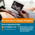 NT Scan Near in Sarjapur Bangalore.jpg