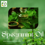 Green Minimalist Essential Oil Instagram Post-min (1).png